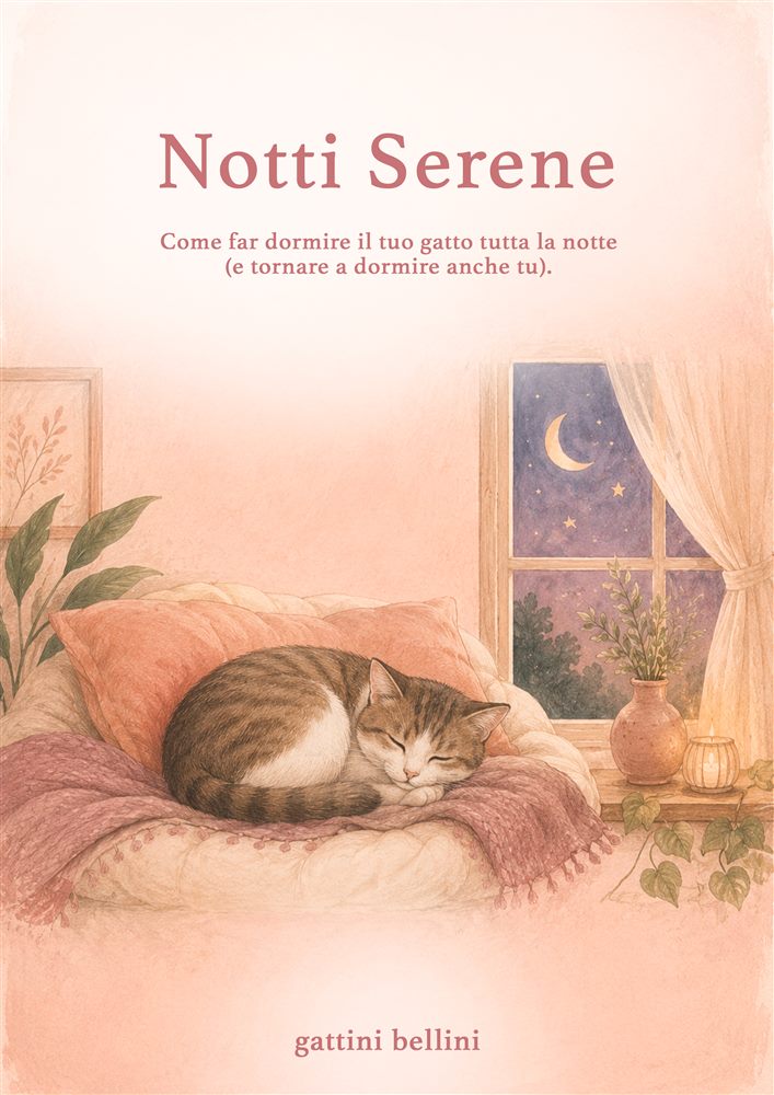 Notti Serene
